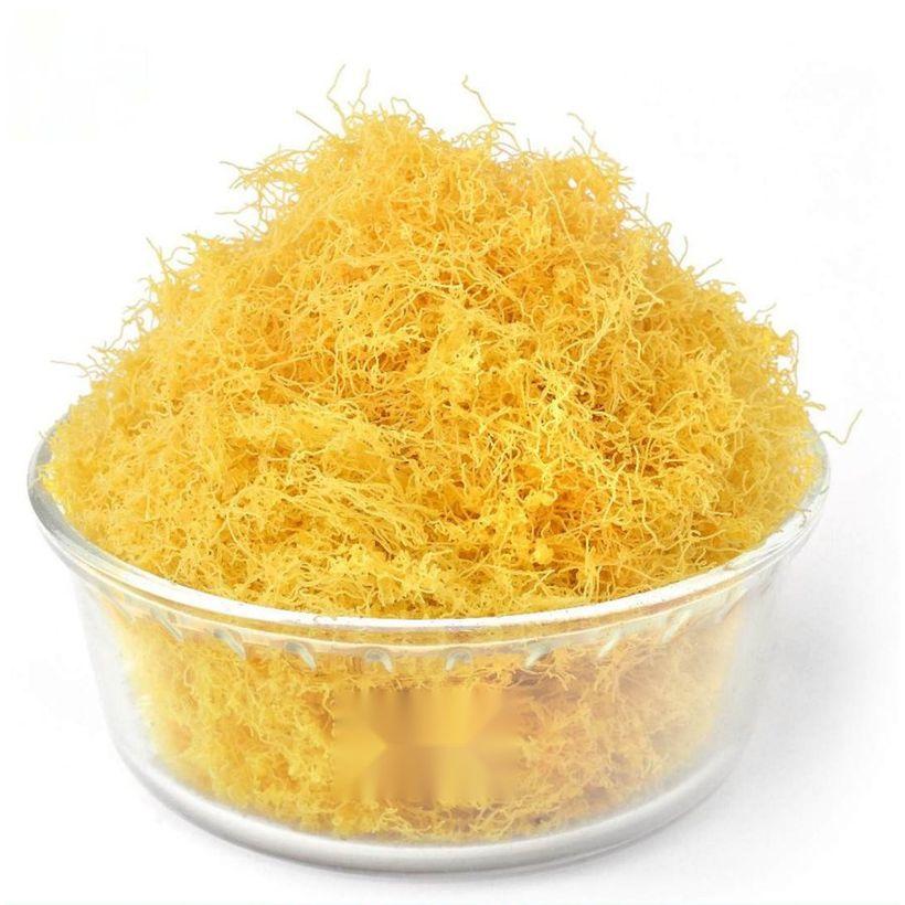 Nylon Sev